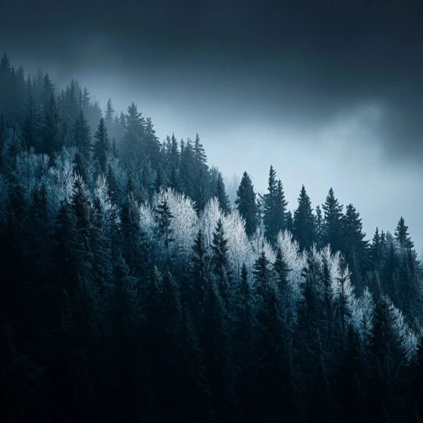 Winter's Divide