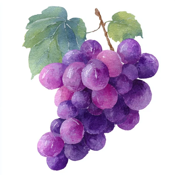 Watercolor Harvest: The Grape Cluster