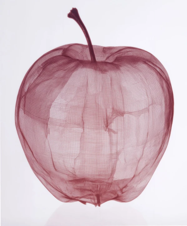 Digital Harvest