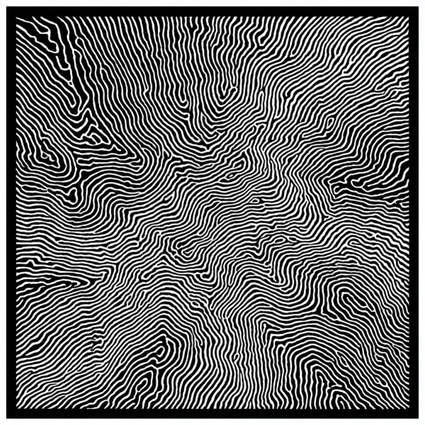 Biomorphic Resonance