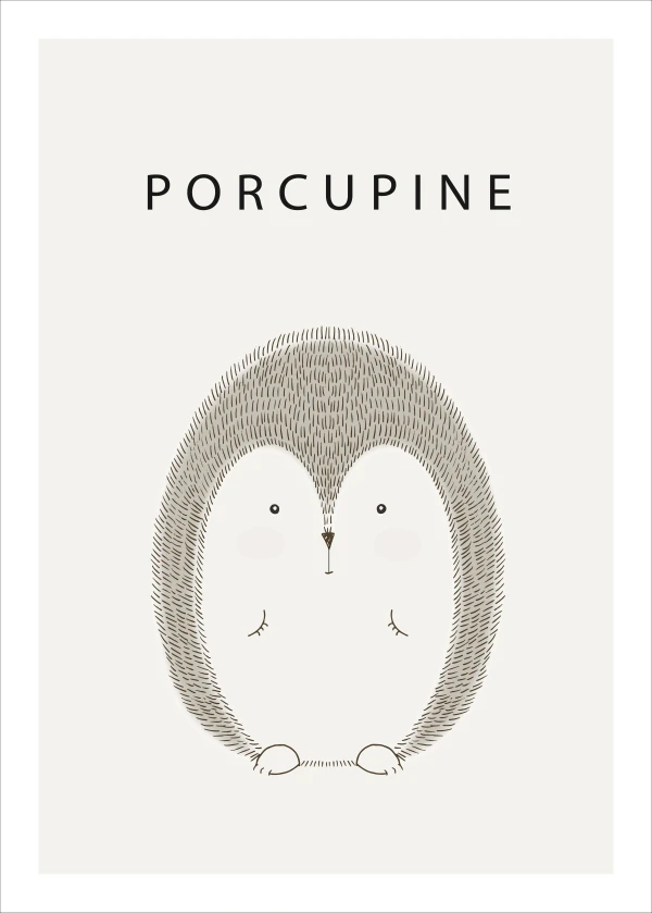 The Shy Porcupine